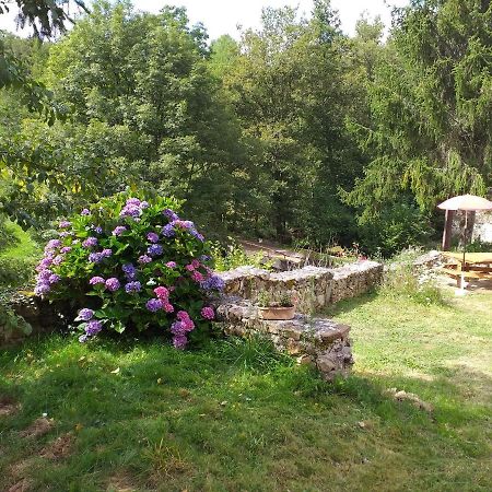 Gite Moulin De Ludieras Busserolles Экстерьер фото