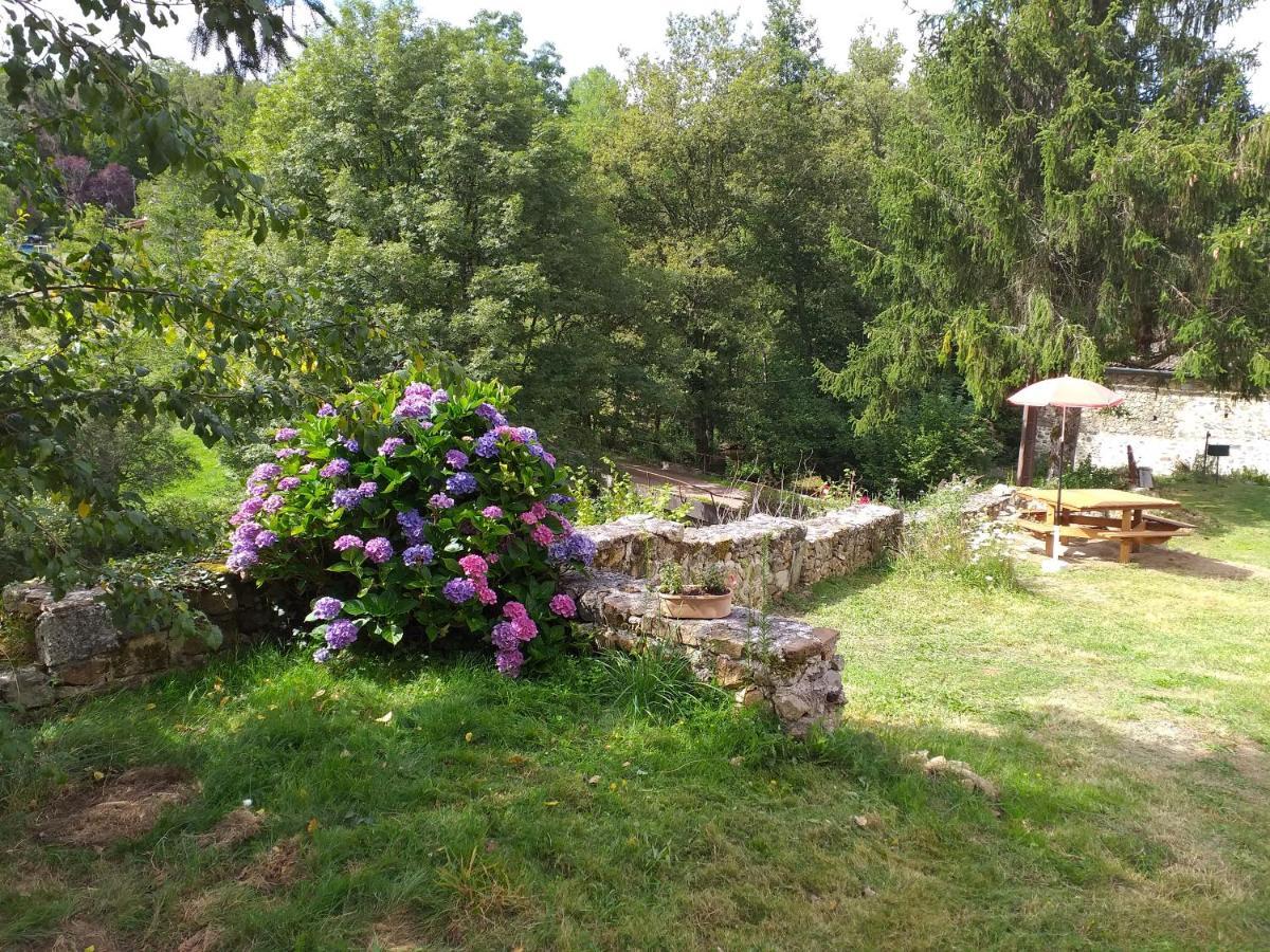 Gite Moulin De Ludieras Busserolles Экстерьер фото